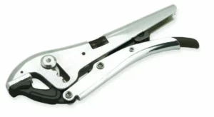 references000004898images00048986