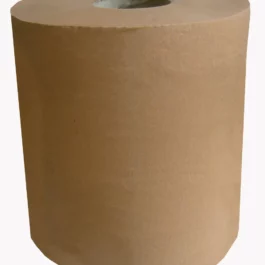 OUATE T1000 24X30CM BLC 2X24G/M2 (X2) - GB1020G - GLOBAL HYGIENE MONNOYEUR