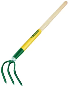 references000013289images00132896