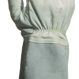 references000021326images00213262