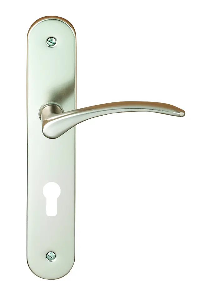 ENS.BEQ/PLAQ CYL DIANE ALU INOX - CY4011/31M - CADAP 1 ENS.BEQ/PLAQ CYL DIANE ALU INOX - CY4011/31M - CADAP