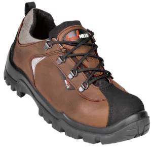 references000159762images159758 a1