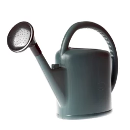 ARROSOIR AVEC POMME - 171101 - VINMER