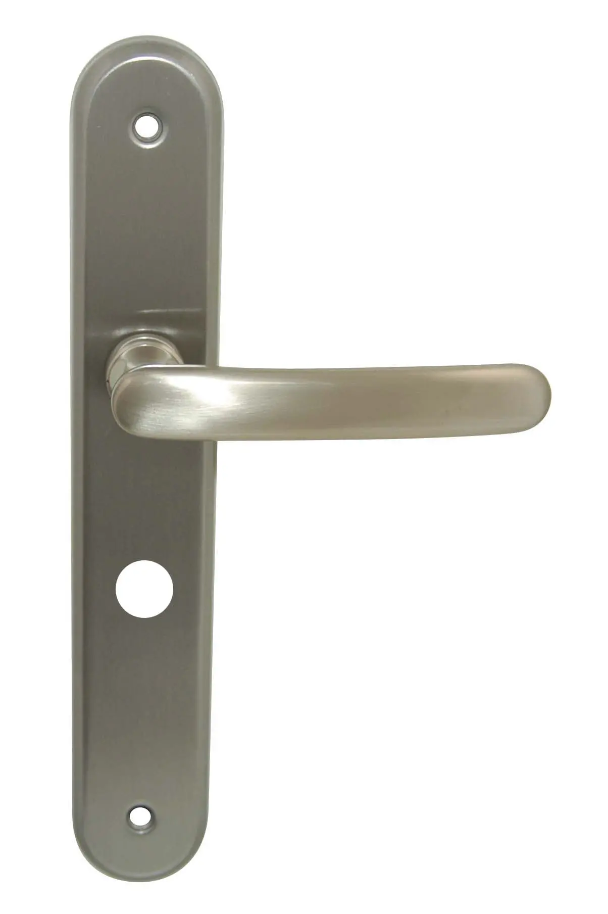 ENS POIG/PLAQ CDDC AUBER ZAMAK NICKEL MAT - CD4805/19BF - CADAP 1 ENS POIG/PLAQ CDDC AUBER ZAMAK NICKEL MAT - CD4805/19BF - CADAP