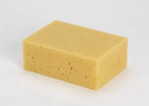 references000199864imageshd epn 1