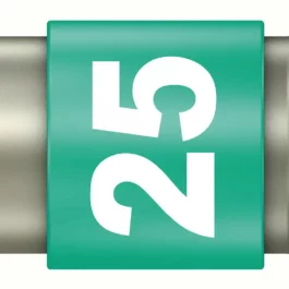 references000200629images02006294