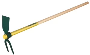 references001024710images1024710