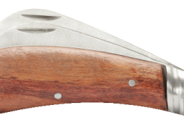 references10006879images100068792