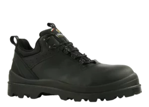 references10009225imageshd 10009218