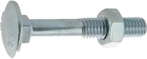 BOULON TRCC DIN 603/555 AC ZN BL 6.0 X 50 BTE 200 - 5016050 - VISWOOD 1 BOULON TRCC DIN 603/555 AC ZN BL 6.0 X 50 BTE 200 - 5016050 - VISWOOD