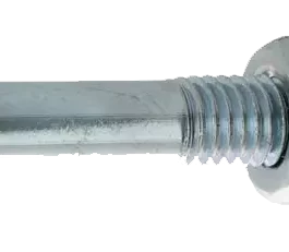 BOULON TRCC DIN 603/555 AC ZN BL 8.0 X 20 BTE 200 - 5018020 - VISWOOD