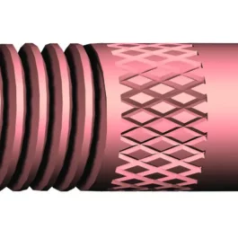 references10015231images02003795