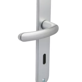 ENSEMBLE BUDGET ENTRAXE 195MM CLE L ARGENT - VACHETTE - ASSA ABLOY AUBE ANJOU S.A. - 2048563