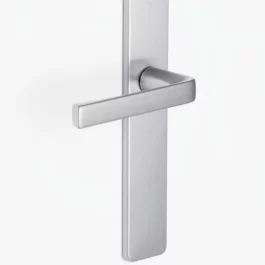 ENSEMBLE KAZA ENTRAXE 195MM BEC DE CANE ARGENT - 204103 - VACHETTE - ASSA ABLOY AUBE ANJOU S.A.