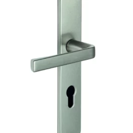 ENSEMBLE KAZA ENTRAXE 195MM CLE I ANODINOX - 204113 - VACHETTE - ASSA ABLOY AUBE ANJOU S.A.