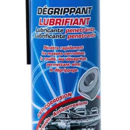 DEGRIPPANT LUBRIFIANT PULVERISATEUR 2 POSITION AEROSOL 600 ML NET - 2360C - AGY PLUS