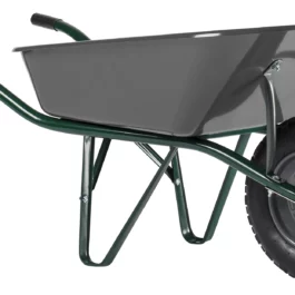 references10560667imageshd 000204780