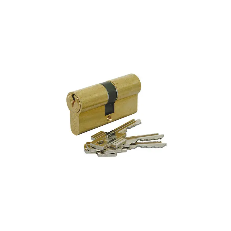 CYL DOUBLE TE5 35X45 LAITON 50303545L - 50303545L - TESA ASSA ABLOY 1 CYL DOUBLE TE5 35X45 LAITON 50303545L - 50303545L - TESA ASSA ABLOY