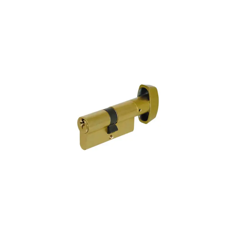 CYL DOUBLE TE5 30X30 LAITON A BOUTON 503B3030L - 503B3030L - TESA ASSA ABLOY 1 CYL DOUBLE TE5 30X30 LAITON A BOUTON 503B3030L - 503B3030L - TESA ASSA ABLOY