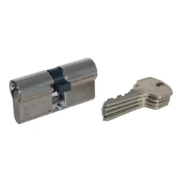 CYL NICK 333 SIGMA PANNETON LIBRE FZG 35X45 VARIE - 333SIGMA+3545 - FZG + 50 - DOM